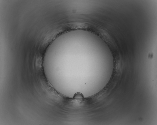 X0000111500326200907281257