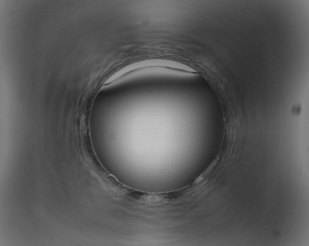 X0000111500327200907281257