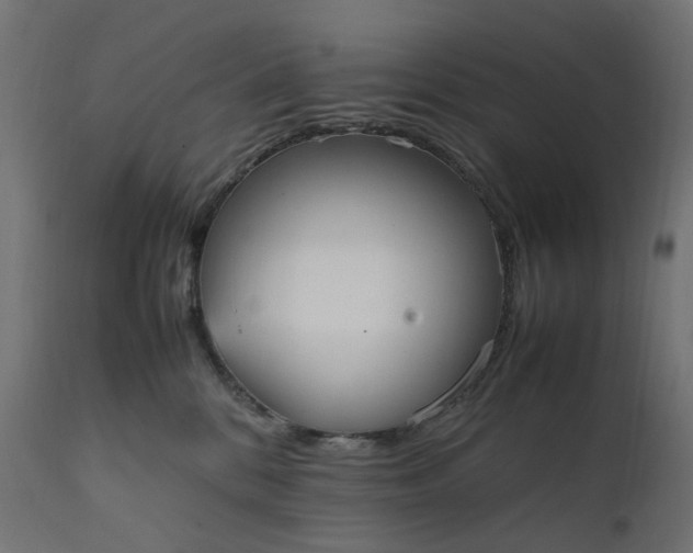 X0000111500328200907281257