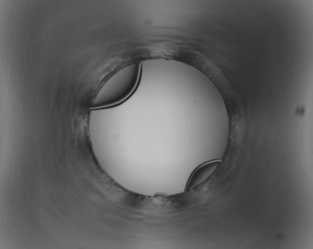 X0000111500329200907281257