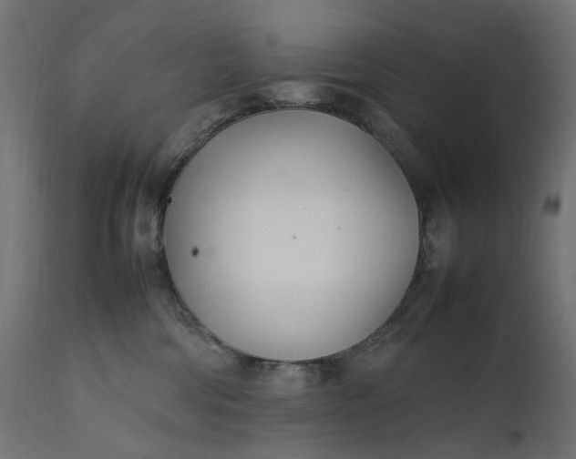 X0000111500330200907281257