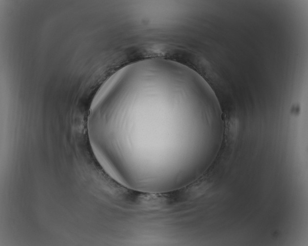 X0000111500331200907281257