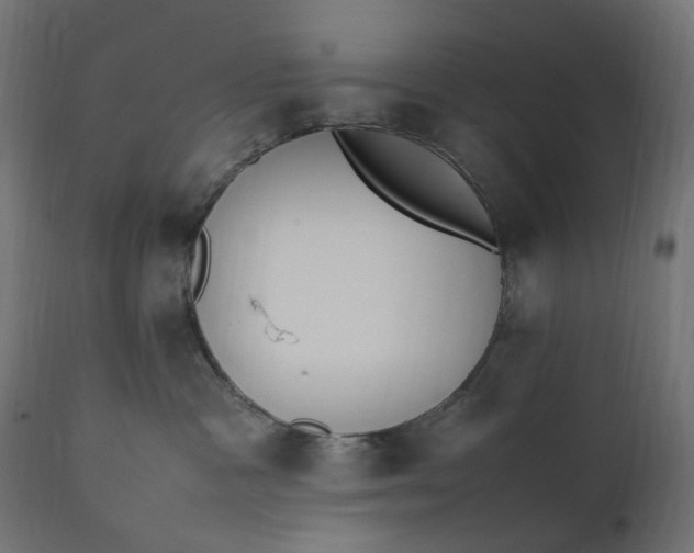 X0000111500333200907281257