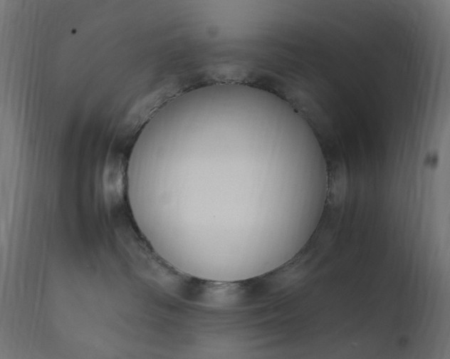 X0000111500334200907281257