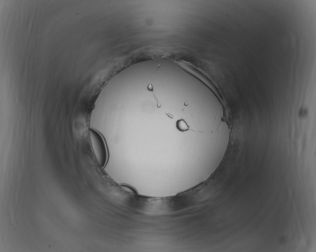 X0000111500335200907281257