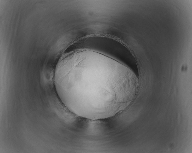 X0000111500336200907281257