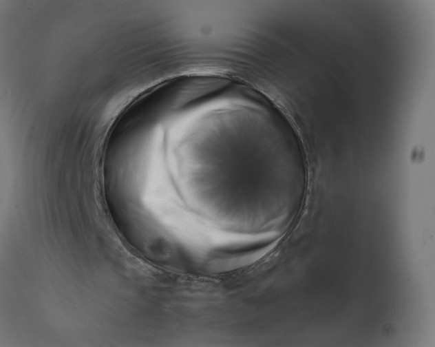 X0000111500337200907281256