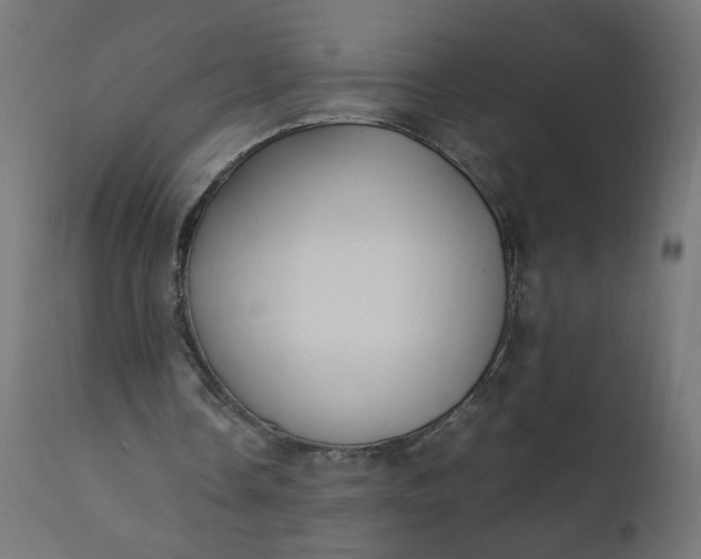 X0000111500338200907281256