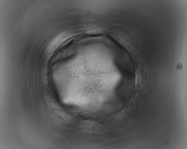 X0000111500339200907281256