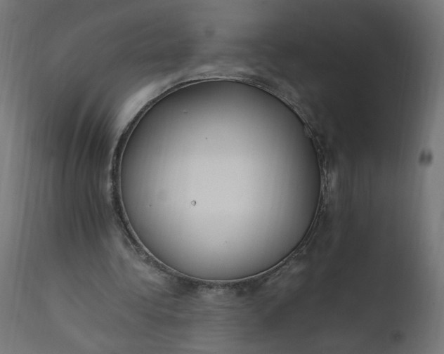 X0000111500340200907281257