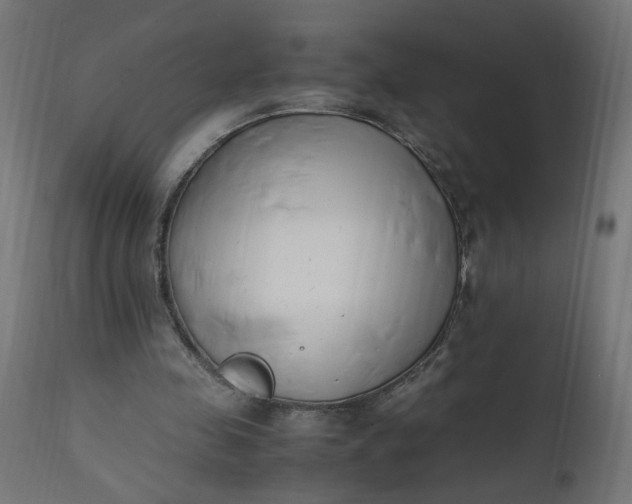 X0000111500341200907281257