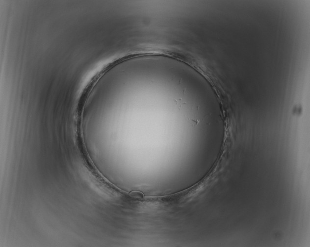 X0000111500342200907281257