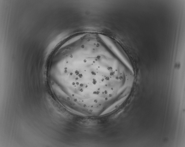 X0000111500343200907281257