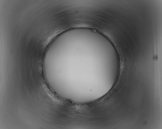 X0000111500345200907281257