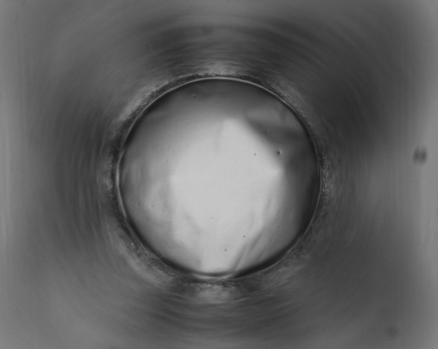 X0000111500347200907281257