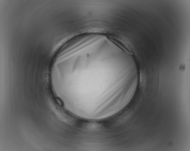 X0000111500348200907281257