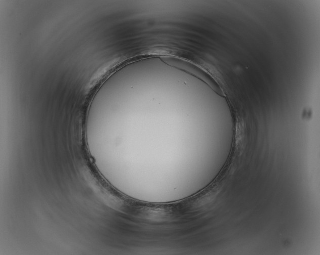 X0000111500349200907281257