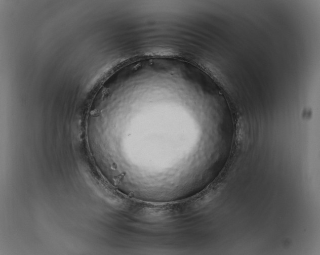 X0000111500351200907281257