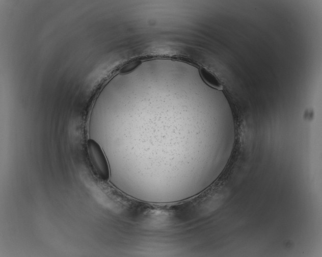 X0000111500352200907281257