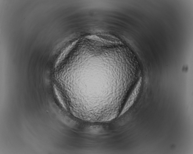 X0000111500353200907281257