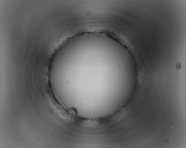 X0000111500354200907281257