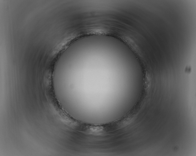 X0000111500355200907281257