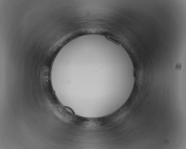 X0000111500356200907281257