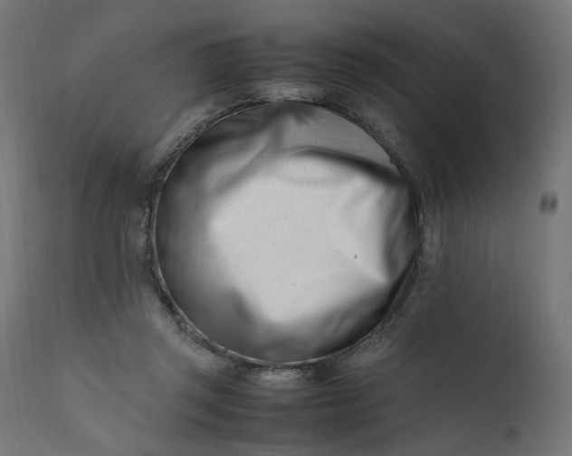 X0000111500357200907281257