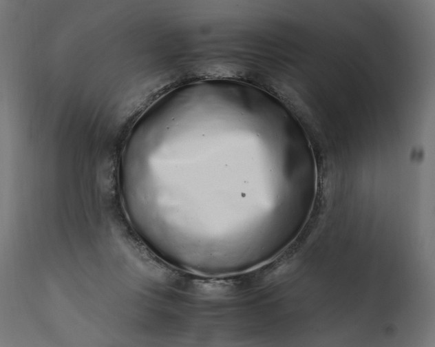 X0000111500359200907281257