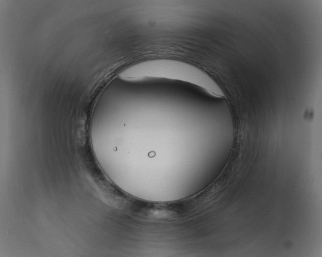 X0000111500360200907281257