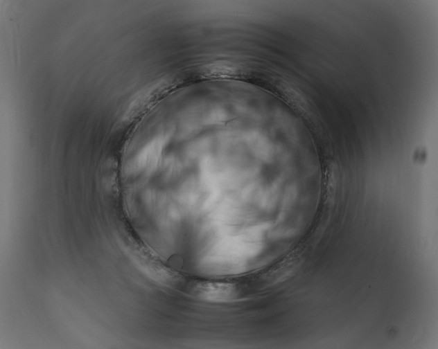 X0000111500361200907281257