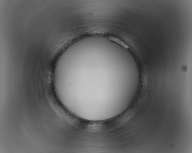 X0000111500362200907281257