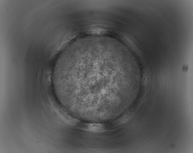 X0000111500363200907281257