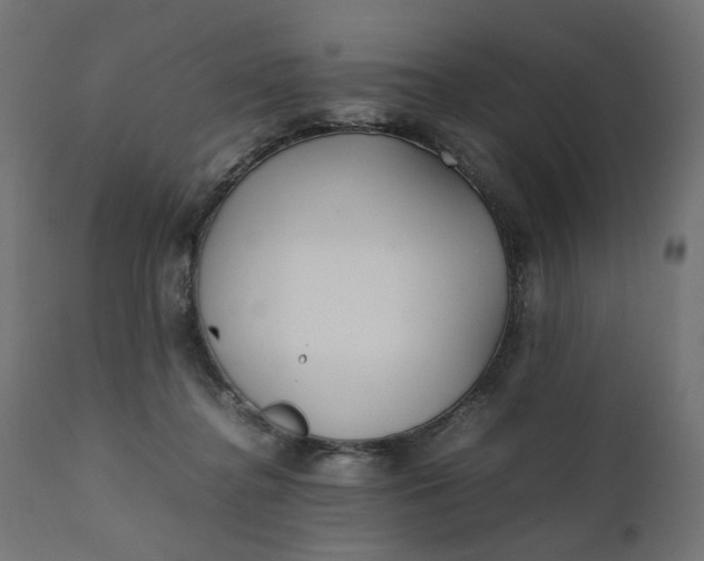 X0000111500364200907281257