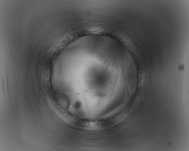 X0000111500365200907281257