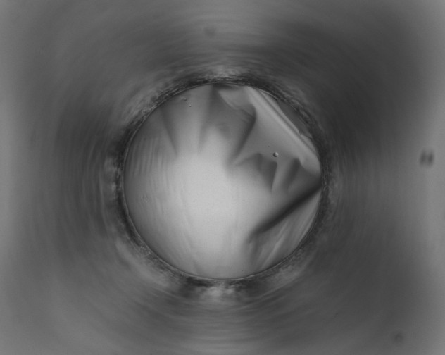 X0000111500366200907281257