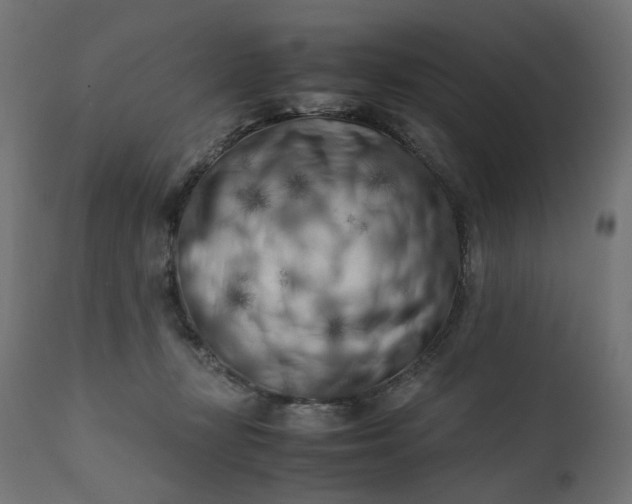 X0000111500367200907281257