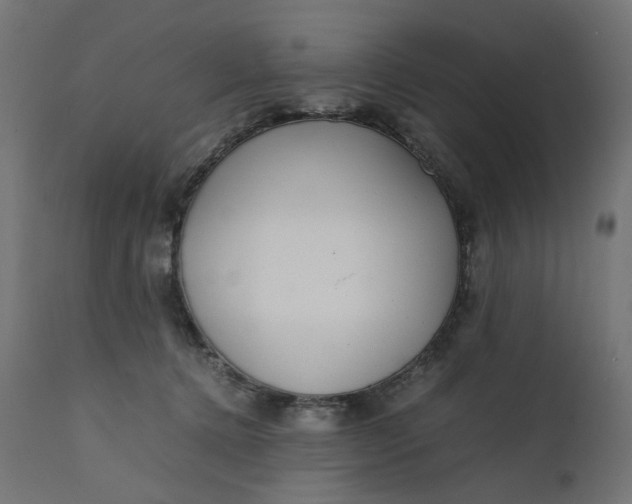 X0000111500368200907281257