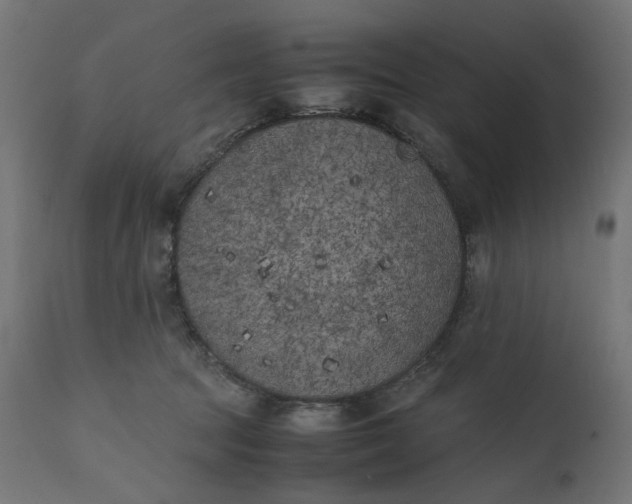 X0000111500369200907281257