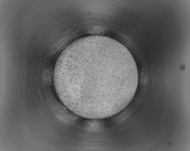 X0000111500370200907281257