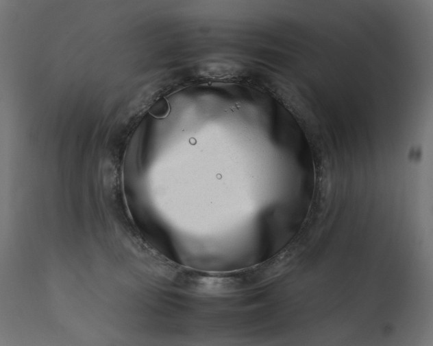 X0000111500371200907281257