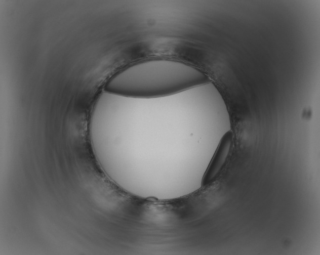 X0000111500372200907281257