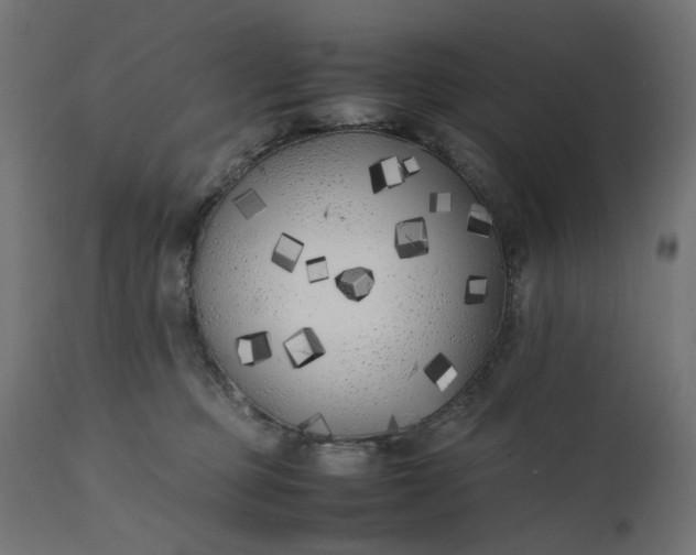 X0000111500373200907281257