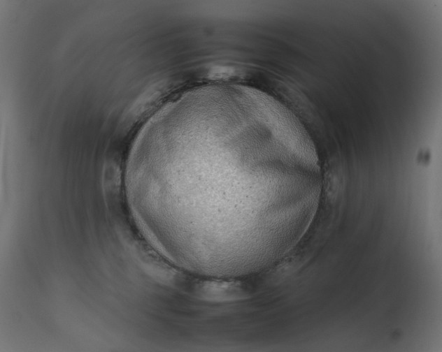 X0000111500375200907281257