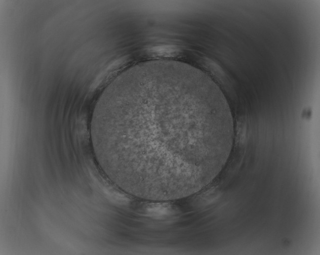 X0000111500377200907281257