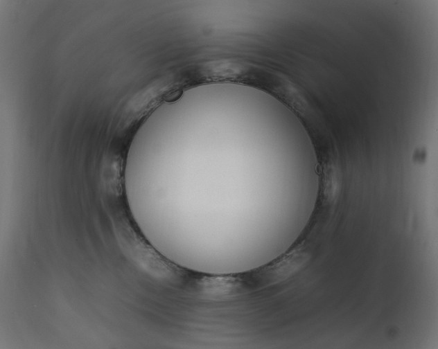 X0000111500378200907281257