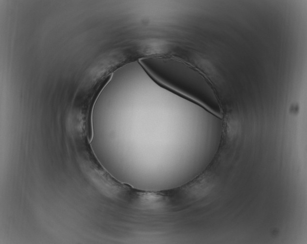 X0000111500380200907281257