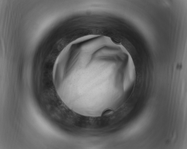 X0000111500383200907281257