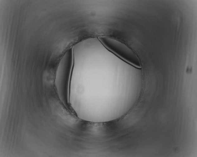 X0000111500384200907281257