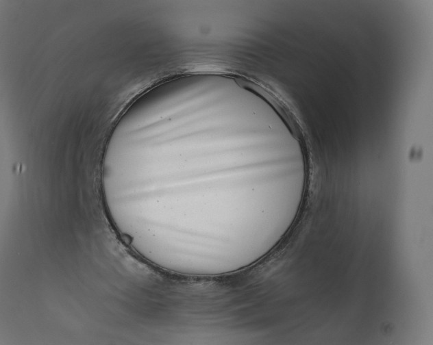 X0000111500385200907281256